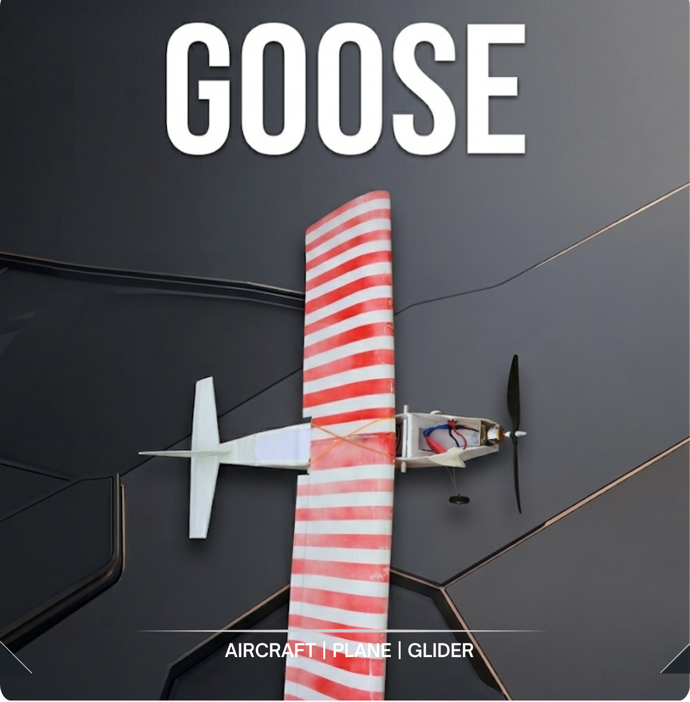 GOOSE